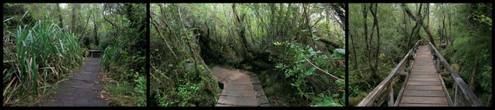 Chili Chiloe Parc National Cucao Ekla